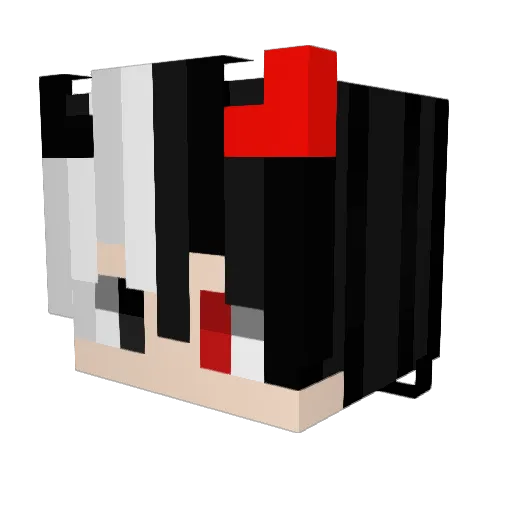 FZ_eyy1314 Minecraft avatar head, 3D render