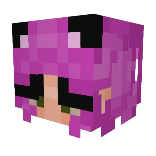 F_44 Minecraft avatar head, 3D render