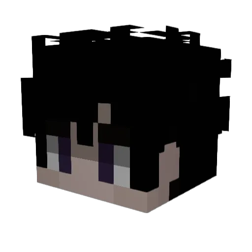 F_ANATIC Minecraft avatar head, 3D render