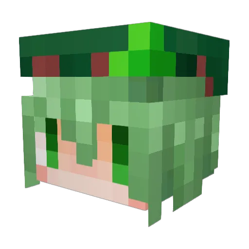 F_Amenta Minecraft avatar head, 3D render