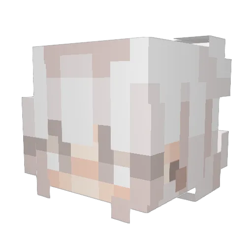 F_F_F_F_F Minecraft avatar head, 3D render