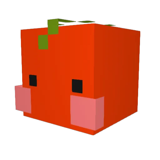 F_F_Fresh_Tomato Minecraft avatar head, 3D render