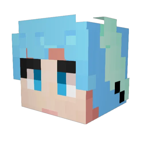F_I_X Minecraft avatar head, 3D render