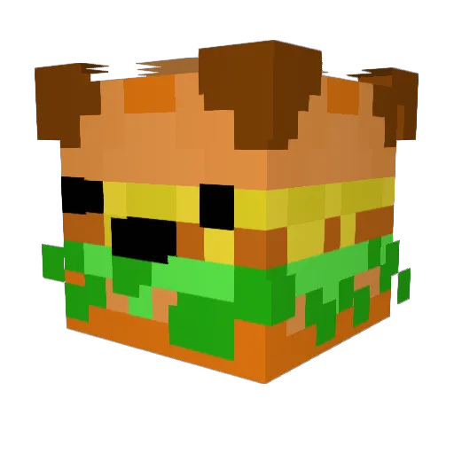 F_L_V_S_H_Y Minecraft avatar head, 3D render