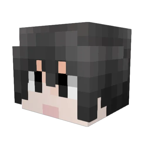 F_Luo Minecraft avatar head, 3D render