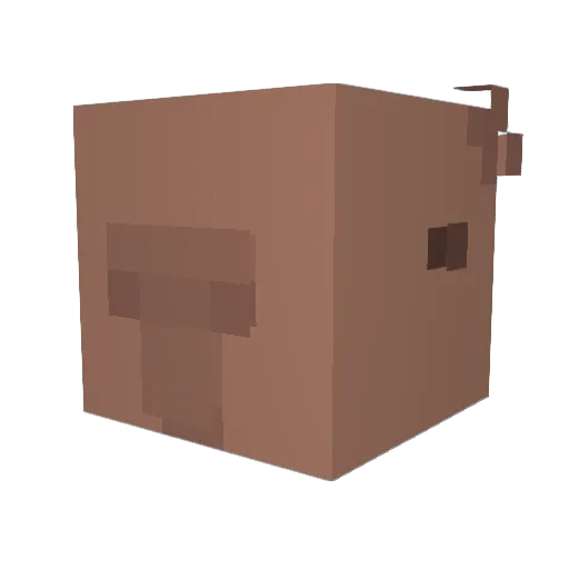F_Nnyyx Minecraft avatar head, 3D render