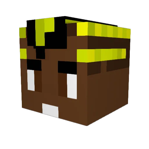 F_Pogba Minecraft avatar head, 3D render