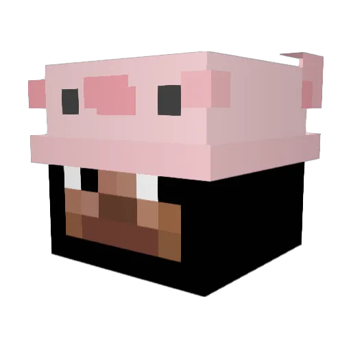 F_R_I_Z_Z_Y Minecraft avatar head, 3D render