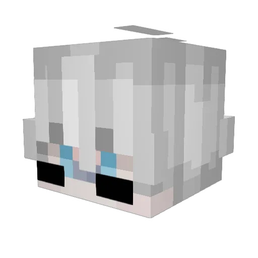 F_Toast Minecraft avatar head, 3D render