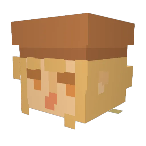 F_equals_ma Minecraft avatar head, 3D render