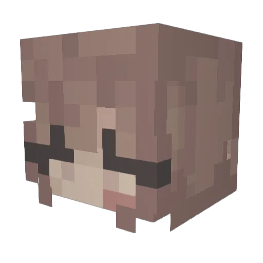 F_ey Minecraft avatar head, 3D render