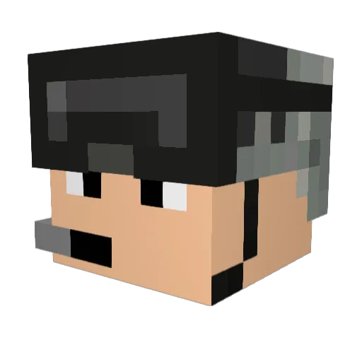 F_nky Minecraft avatar head, 3D render