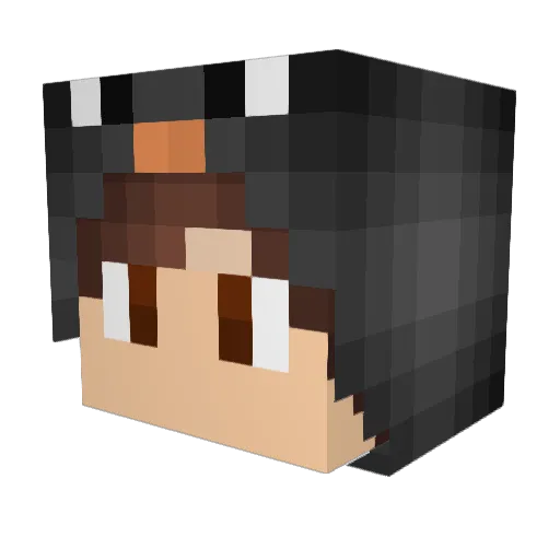 F_ntastic Minecraft avatar head, 3D render