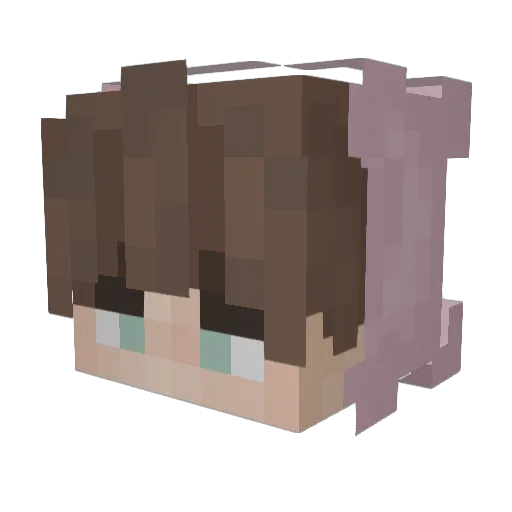 F_oxi Minecraft avatar head, 3D render