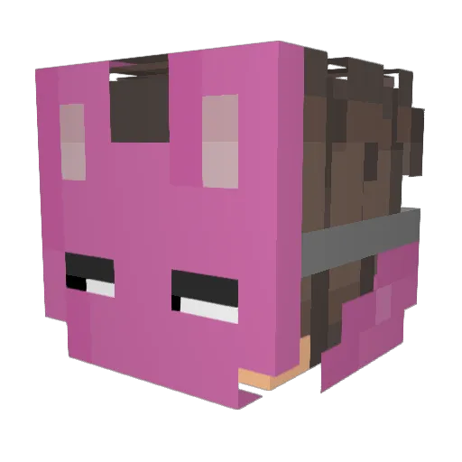F_rry Minecraft avatar head, 3D render