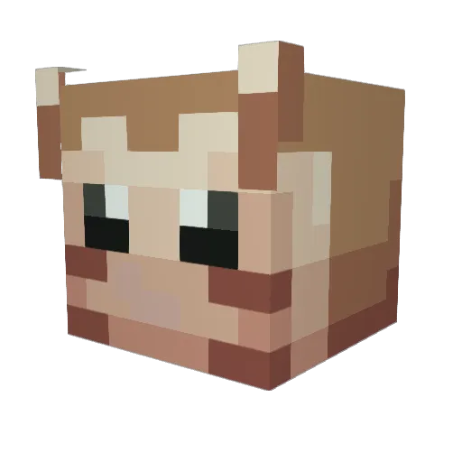 Fa1c0narec001 Minecraft avatar head, 3D render