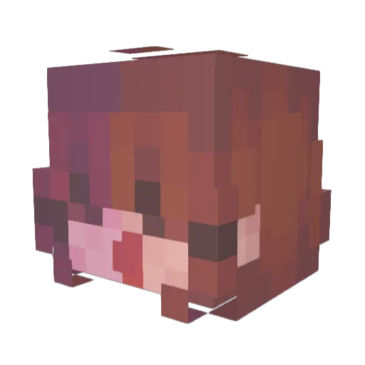 Fa1ryissu3s Minecraft avatar head, 3D render