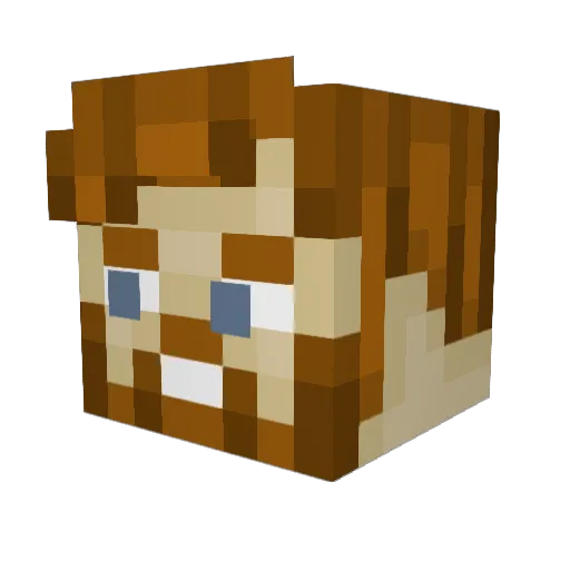 FaBrO23 Minecraft avatar head, 3D render