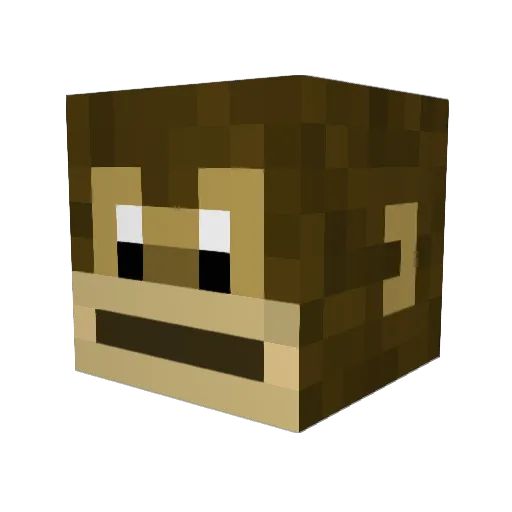 FaKeLebby10 Minecraft avatar head, 3D render