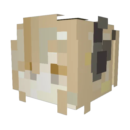 FaKuUltra Minecraft avatar head, 3D render