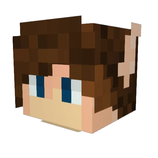 FaLse_Seboo Minecraft avatar head, 3D render
