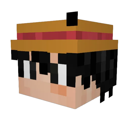 FaNTaSe91 Minecraft avatar head, 3D render