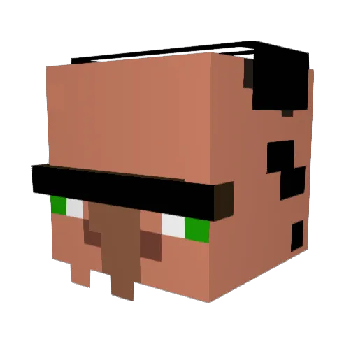 FaNaTic1905 Minecraft avatar head, 3D render