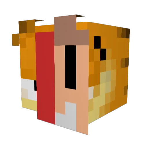 FaNdOmmm Minecraft avatar head, 3D render