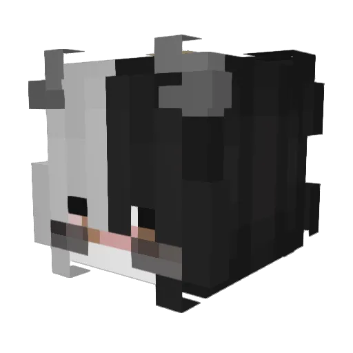 FaNnEsZ11 Minecraft avatar head, 3D render
