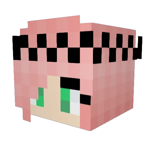 FaTdOgE08 Minecraft avatar head, 3D render