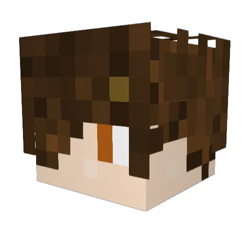 FaTexNix Minecraft avatar head, 3D render
