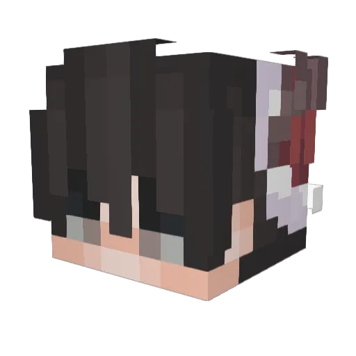 FaZZeR_ Minecraft avatar head, 3D render