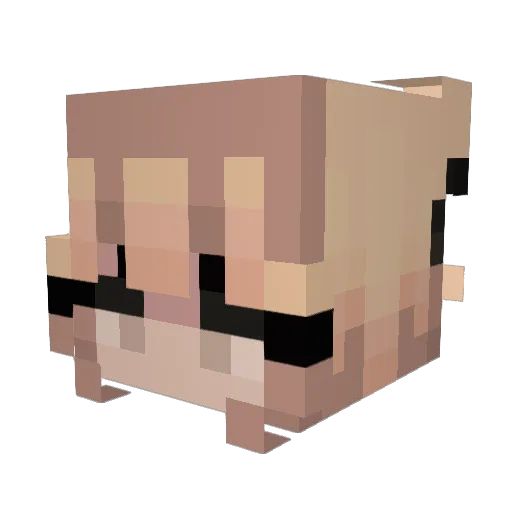 FaZeAFK Minecraft avatar head, 3D render