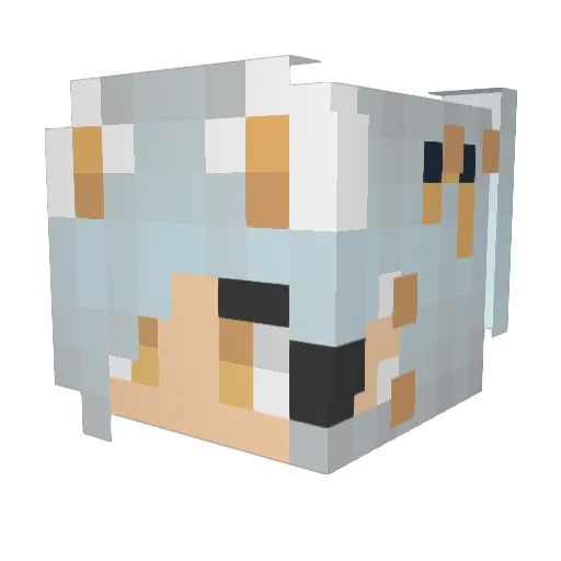 FaZeH1ghsky1 Minecraft avatar head, 3D render
