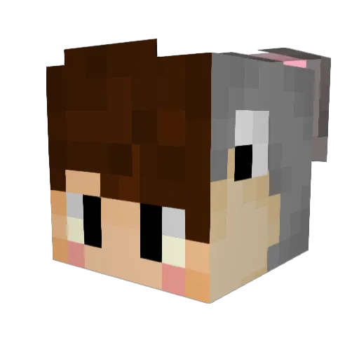FaZeRetarDs Minecraft avatar head, 3D render