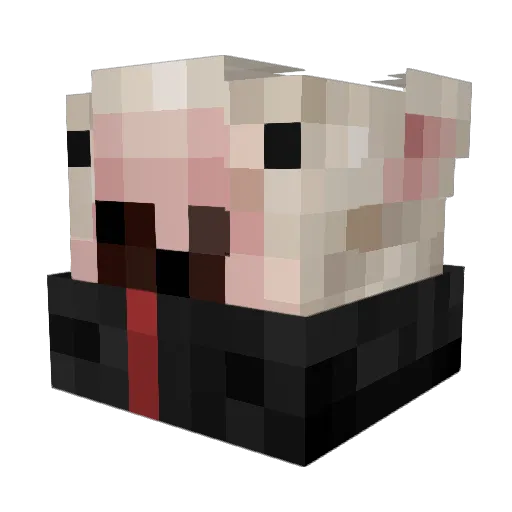 FaZeWalter9 Minecraft avatar head, 3D render