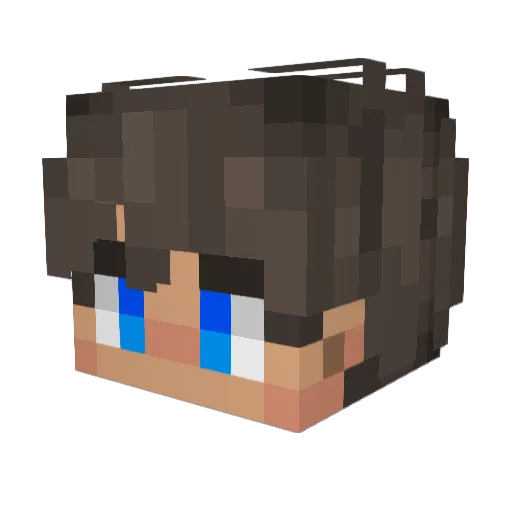 FaZeWoods Minecraft avatar head, 3D render