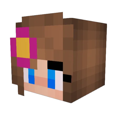 FaZe_Frank Minecraft avatar head, 3D render