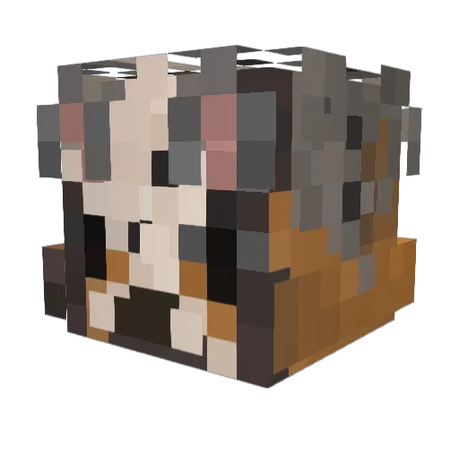 FaZe_Pineapple Minecraft avatar head, 3D render