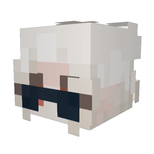 FaZenotswewy Minecraft avatar head, 3D render