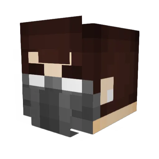 FaabioHardyyz Minecraft avatar head, 3D render