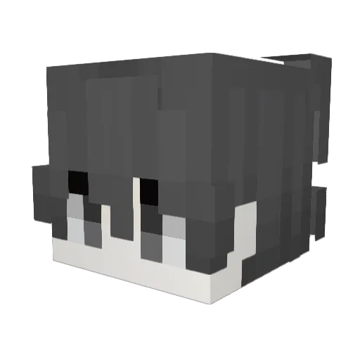 Faacundo Minecraft avatar head, 3D render