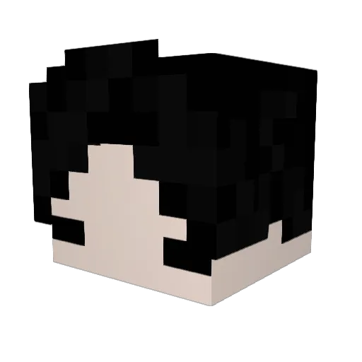Fab_Tickless Minecraft avatar head, 3D render