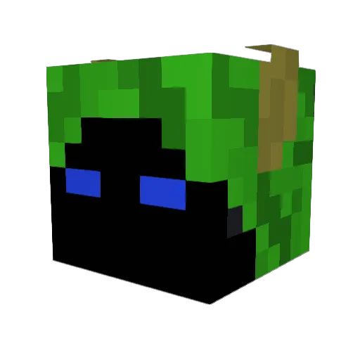 Fabas123 Minecraft avatar head, 3D render