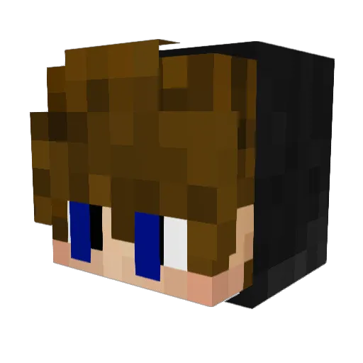 Fabelacrafter Minecraft avatar head, 3D render
