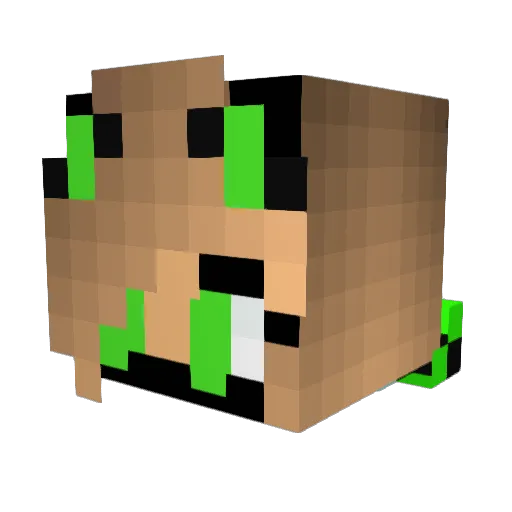 FabiFly06 Minecraft avatar head, 3D render