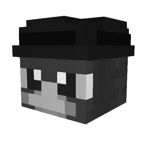 FabiNw_ Minecraft avatar head, 3D render