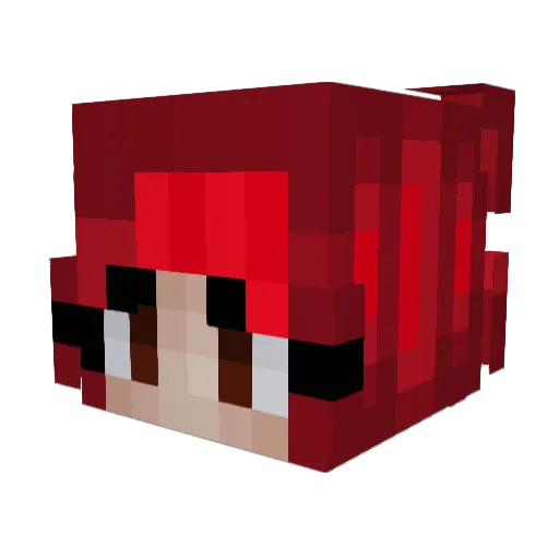FabiPlanet_ Minecraft avatar head, 3D render