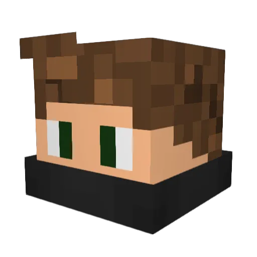 FabiPlayerGo Minecraft avatar head, 3D render