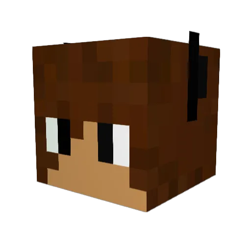 Fabi_2 Minecraft avatar head, 3D render